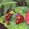 gardenbugs